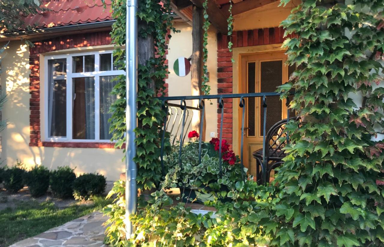 Flower Street Sviťaz Exteriér fotografie